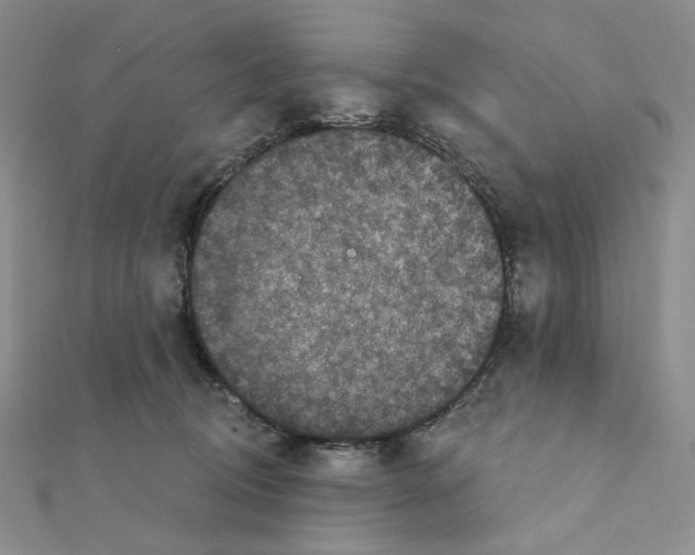 X0000111220370200908131107
