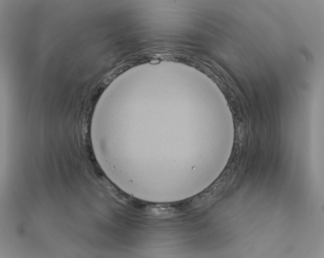 X0000111220372200908131107