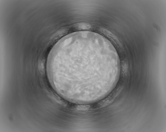 X0000111220373200908131107
