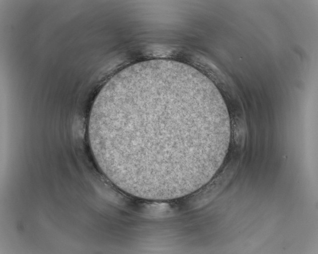 X0000111220374200908131107