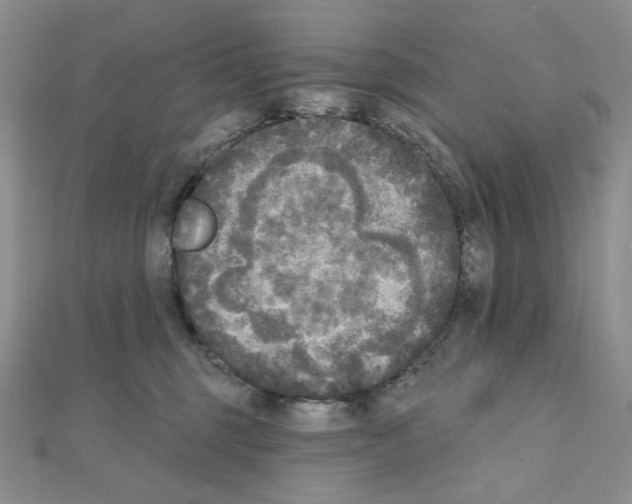X0000111220375200908131107