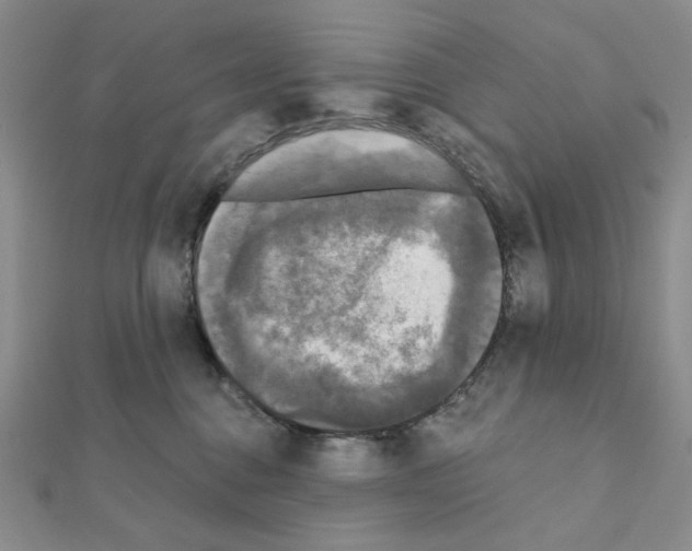 X0000111220376200908131107