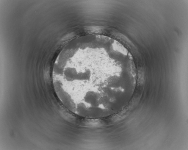 X0000111220377200908131107