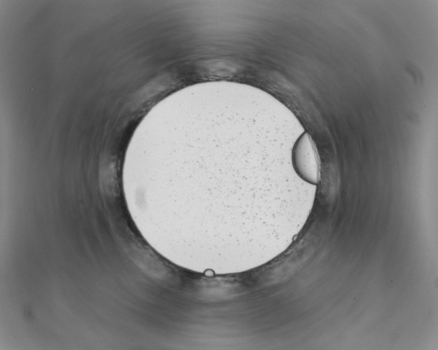 X0000111220378200908131107