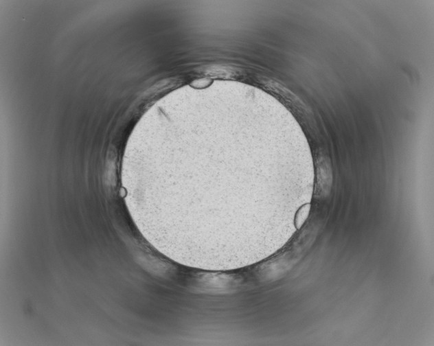 X0000111220379200908131107