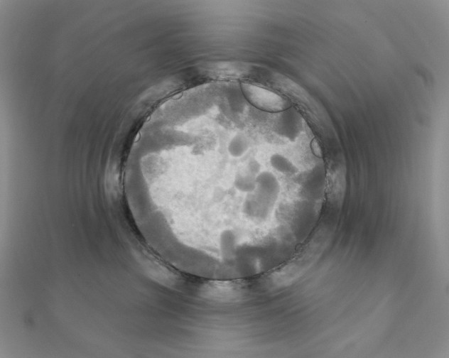 X0000111220381200908131107