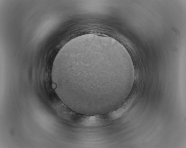 X0000111220382200908131107