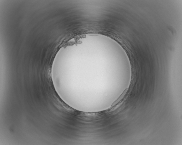 X0000111220384200908131107