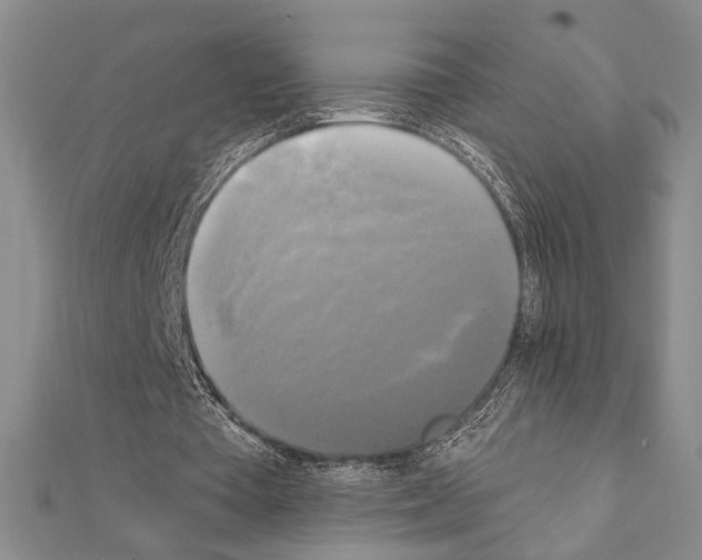X0000111220385200908131106
