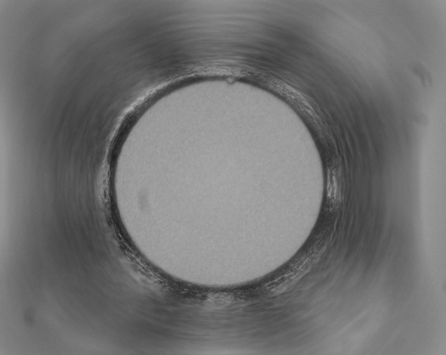 X0000111220388200908131106
