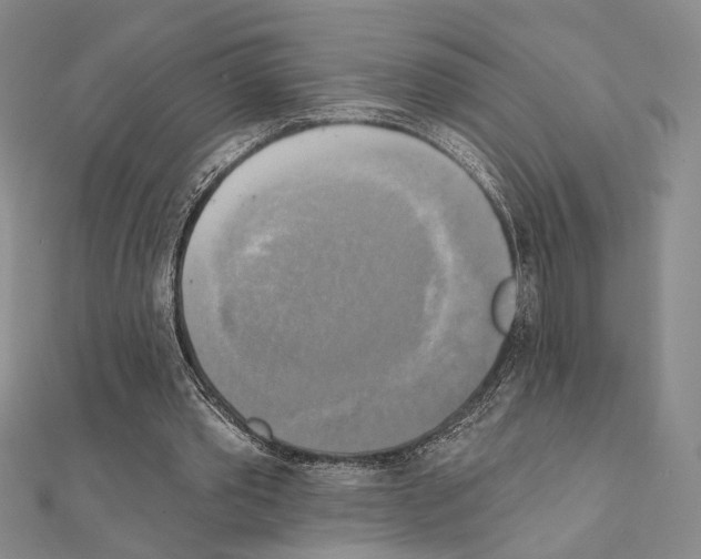 X0000111220389200908131106