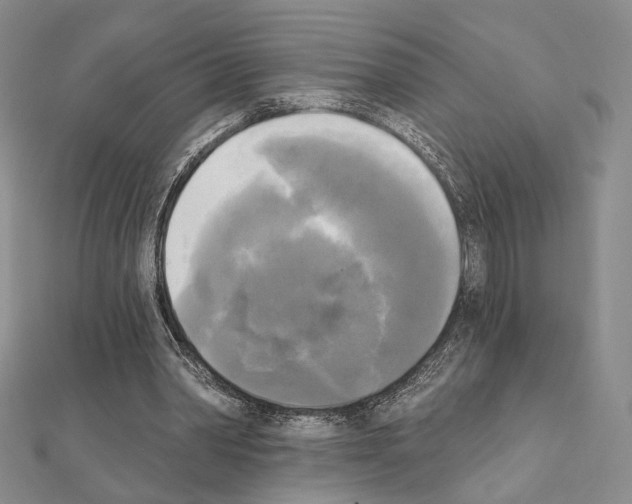 X0000111220390200908131106