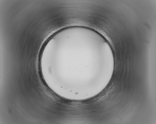 X0000111220391200908131106