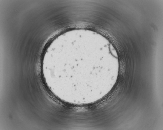X0000111220392200908131106