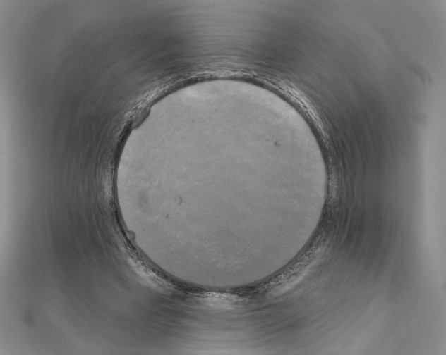 X0000111220393200908131106