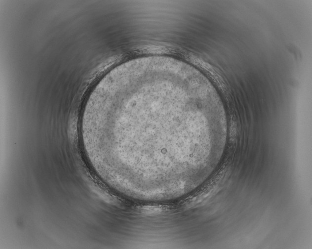 X0000111220394200908131106