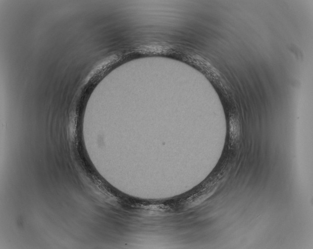 X0000111220396200908131106
