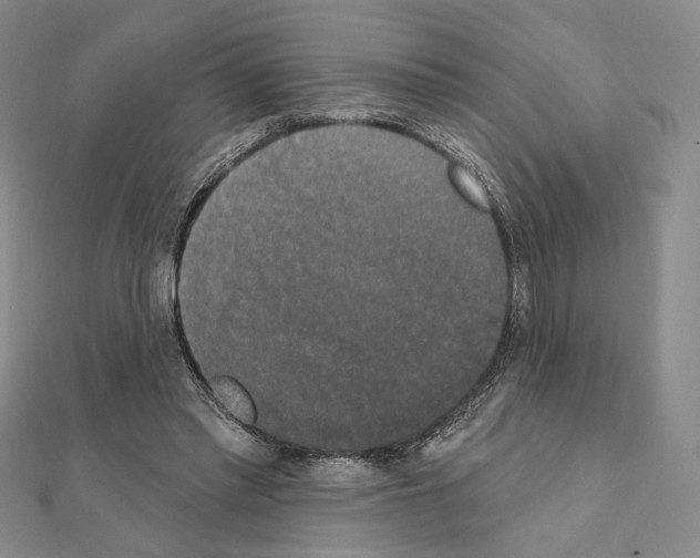 X0000111220397200908131106