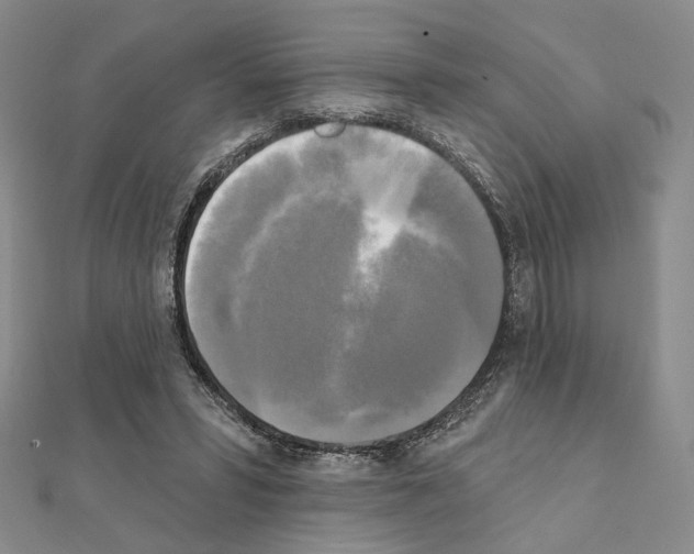 X0000111220399200908131106