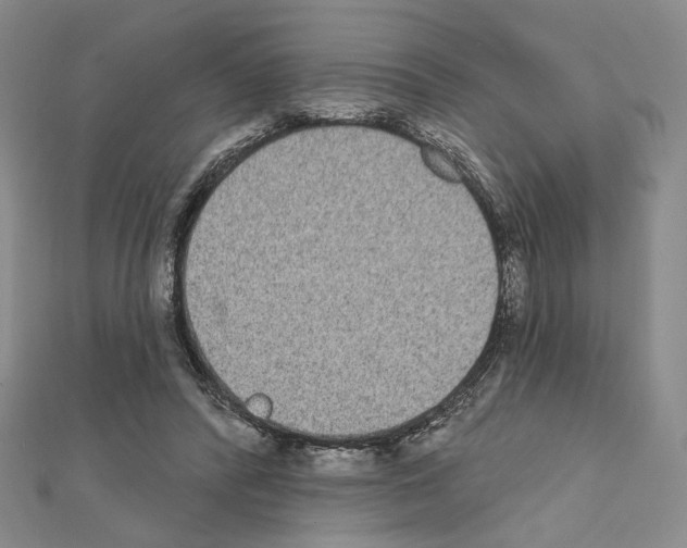 X0000111220400200908131106