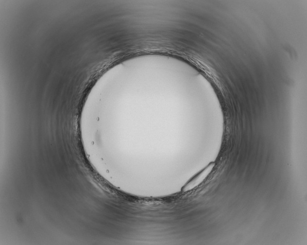 X0000111220401200908131106