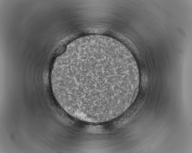 X0000111220403200908131106