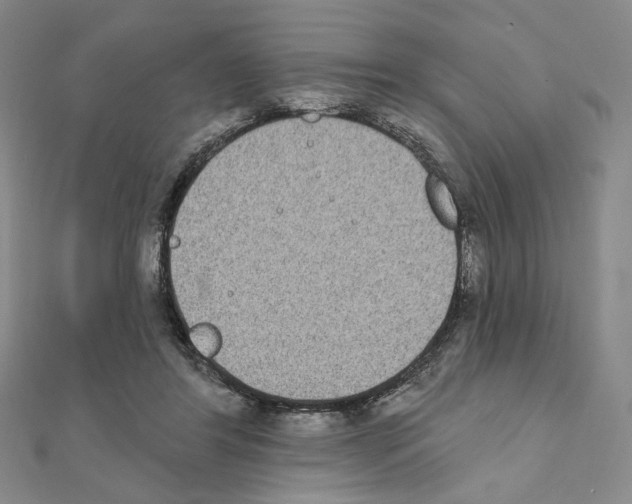 X0000111220404200908131106