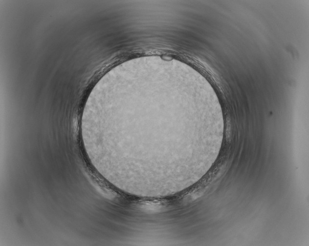 X0000111220405200908131106