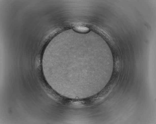 X0000111220407200908131106