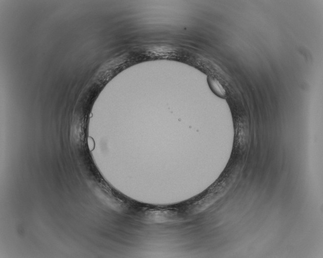 X0000111220408200908131106