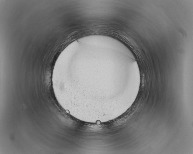 X0000111220409200908131106