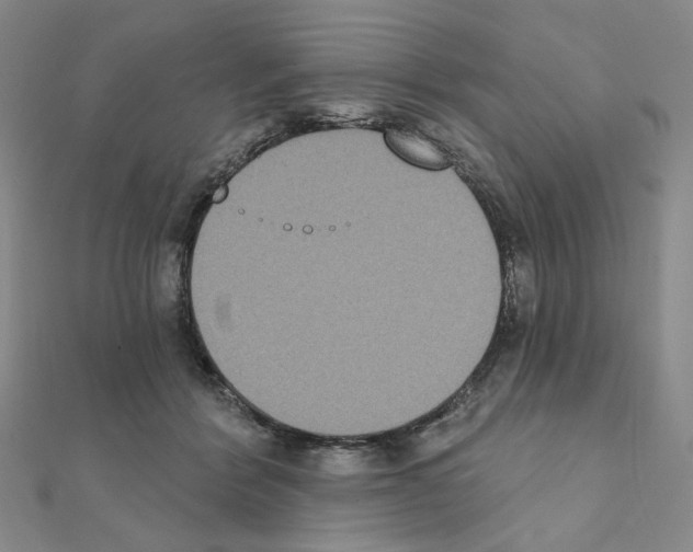 X0000111220412200908131106
