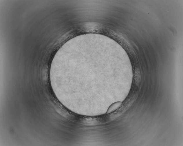 X0000111220413200908131106