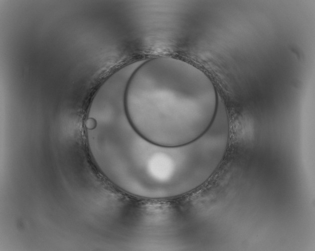 X0000111220415200908131106