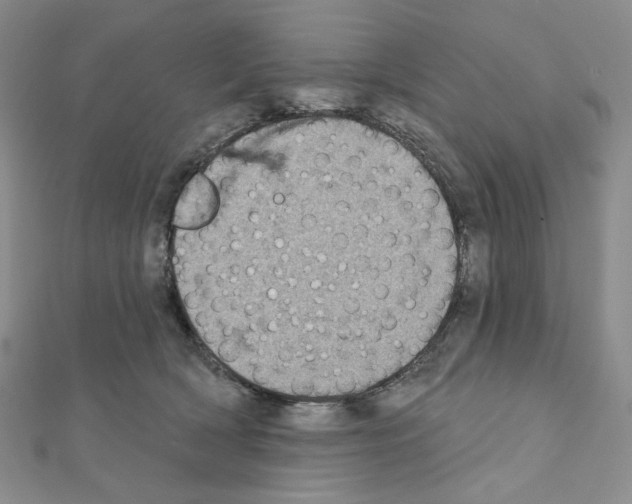 X0000111220418200908131106