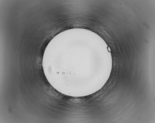 X0000111220419200908131106