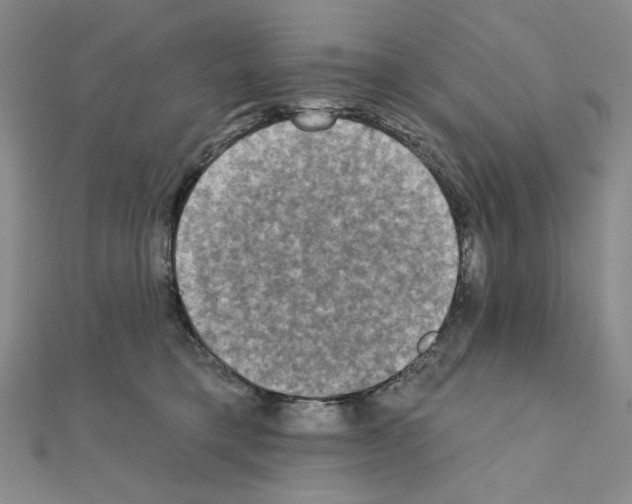 X0000111220421200908131106
