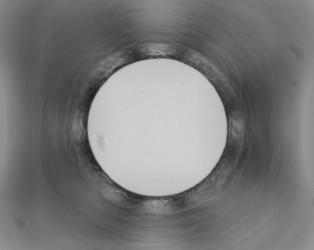 X0000111220422200908131106