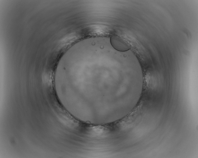 X0000111220423200908131106