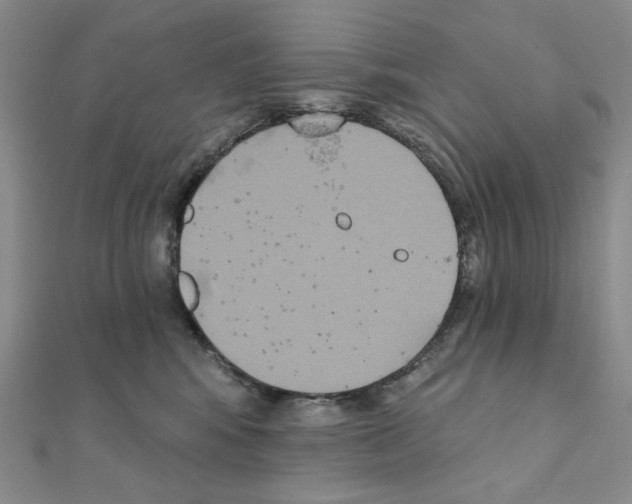 X0000111220424200908131106
