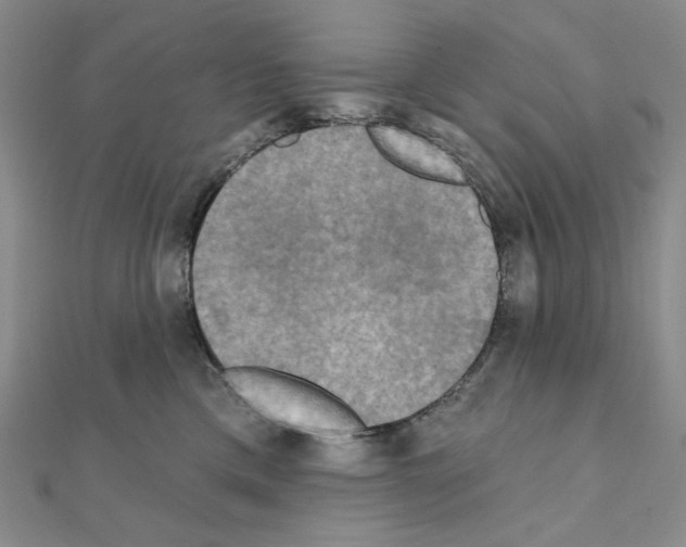 X0000111220425200908131106