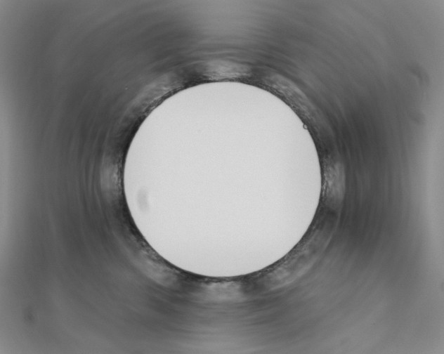 X0000111220426200908131106