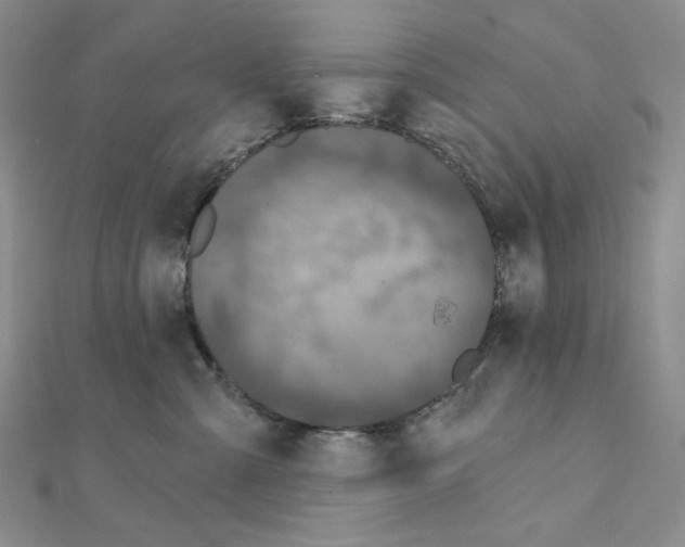 X0000111220427200908131106