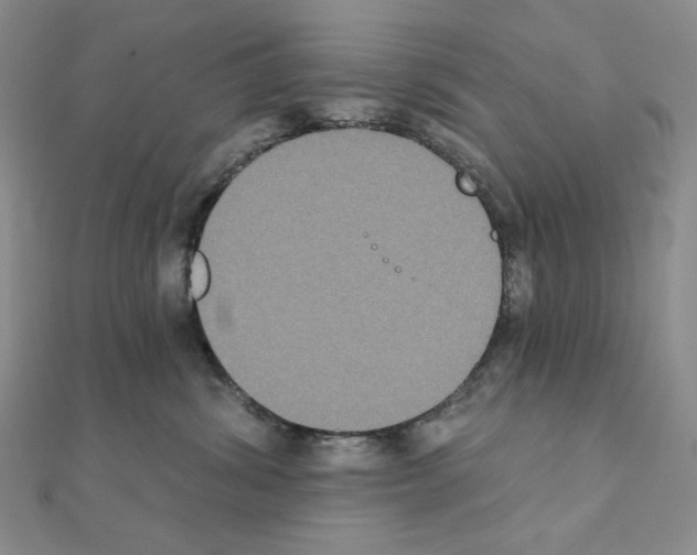 X0000111220428200908131106