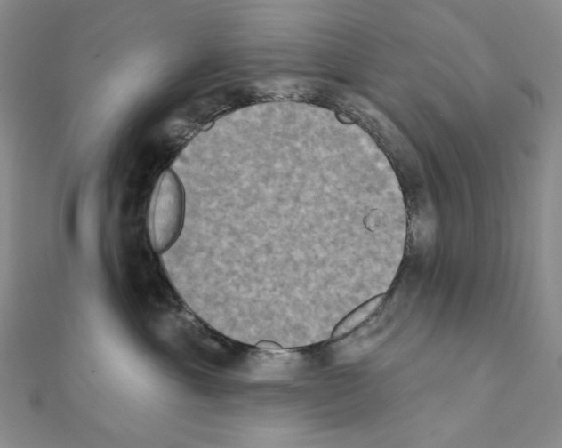 X0000111220429200908131106