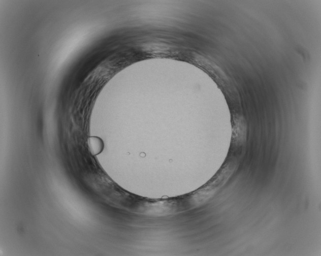 X0000111220430200908131106