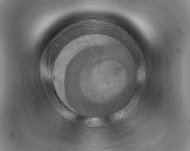 X0000111220431200908131106