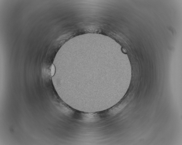 X0000111220432200908131106