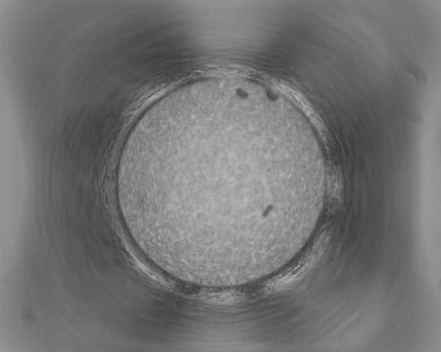 X0000111220433200908131105