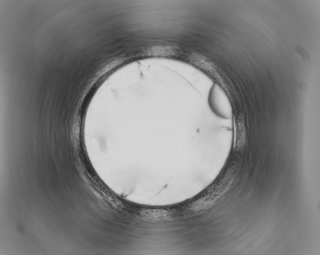 X0000111220435200908131105